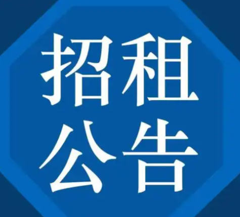 投資房產(chǎn)管理運(yùn)營(yíng)公司招租公告